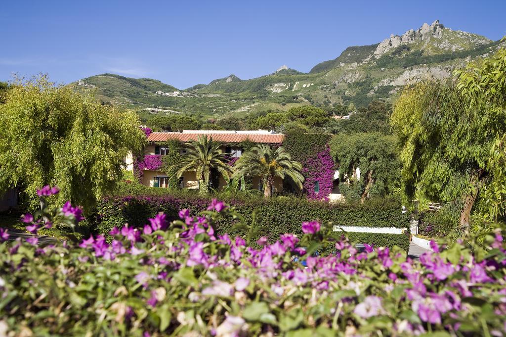 Villa Angela Hotel & Spa Forio di Ischia Extérieur photo